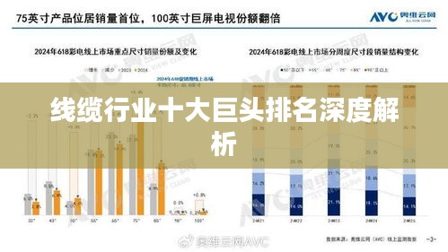 線纜行業(yè)十大巨頭排名深度解析
