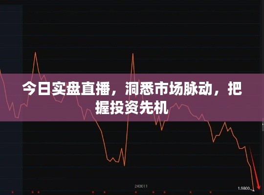 今日實(shí)盤(pán)直播，洞悉市場(chǎng)脈動(dòng)，把握投資先機(jī)