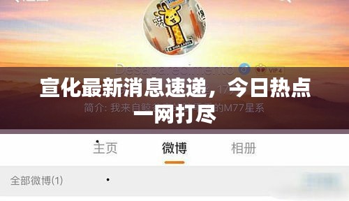 宣化最新消息速遞，今日熱點(diǎn)一網(wǎng)打盡