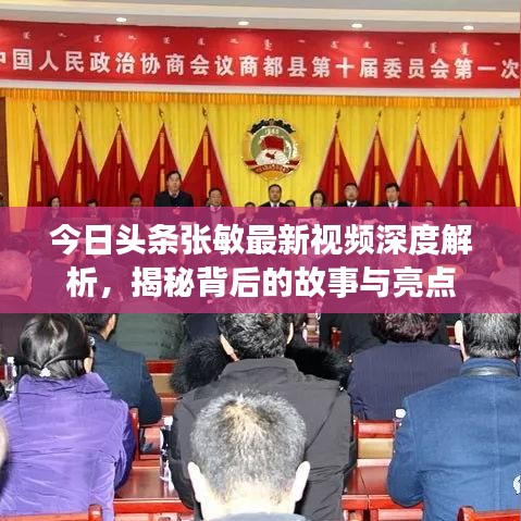 今日頭條張敏最新視頻深度解析，揭秘背后的故事與亮點(diǎn)