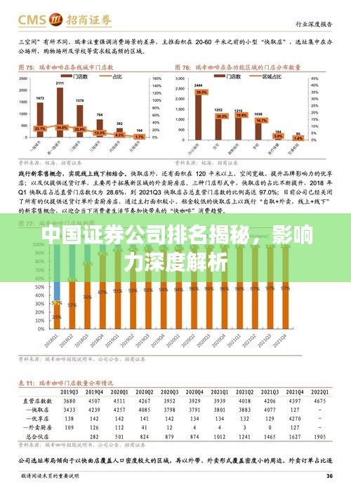 中國證券公司排名揭秘，影響力深度解析