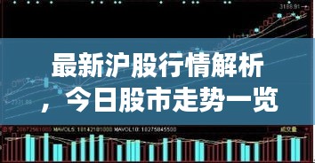 最新滬股行情解析，今日股市走勢一覽
