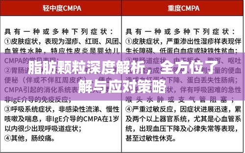 脂肪顆粒深度解析，全方位了解與應對策略