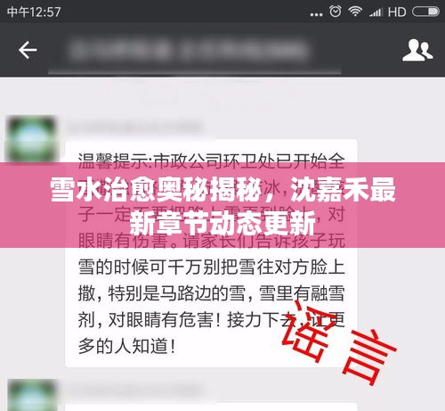 雪水治愈奧秘揭秘，沈嘉禾最新章節(jié)動(dòng)態(tài)更新