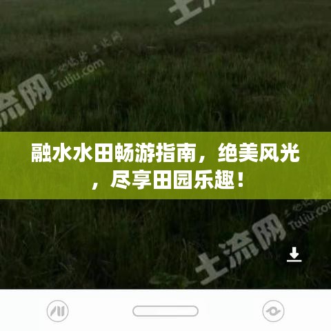 融水水田暢游指南，絕美風光，盡享田園樂趣！