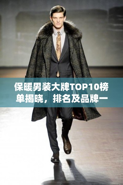 保暖男裝大牌TOP10榜單揭曉，排名及品牌一網(wǎng)打盡