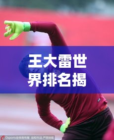 王大雷世界排名揭秘，中國足球的榮耀瞬間