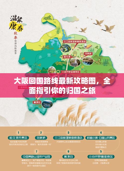 大阪回國路線最新攻略圖，全面指引你的歸國之旅