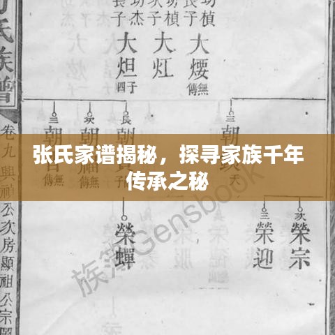 張氏家譜揭秘，探尋家族千年傳承之秘