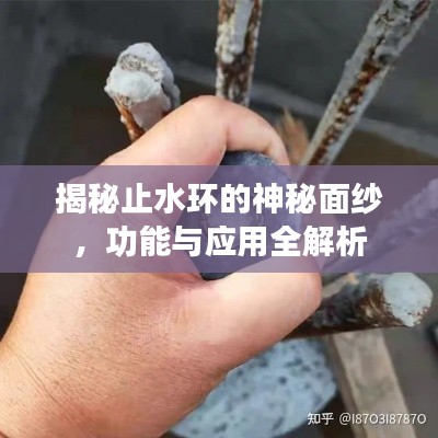 揭秘止水環(huán)的神秘面紗，功能與應(yīng)用全解析