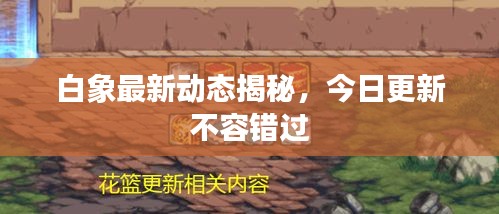 白象最新動態(tài)揭秘，今日更新不容錯過