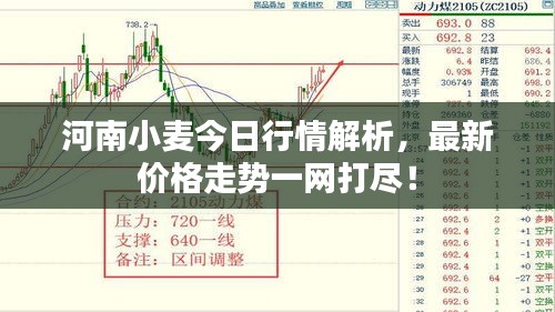 不修邊幅 第3頁