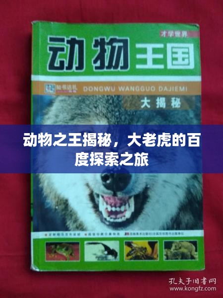 動(dòng)物之王揭秘，大老虎的百度探索之旅