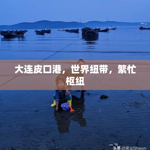 大連皮口港，世界紐帶，繁忙樞紐