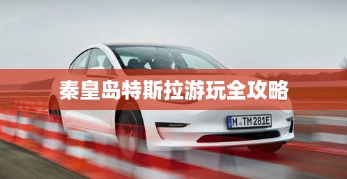 秦皇島特斯拉游玩全攻略