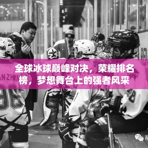 全球冰球巔峰對決，榮耀排名榜，夢想舞臺上的強(qiáng)者風(fēng)采