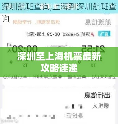 深圳至上海機票最新攻略速遞