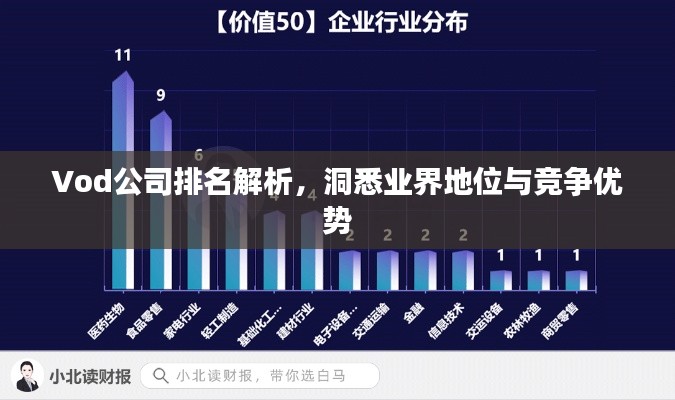Vod公司排名解析，洞悉業(yè)界地位與競(jìng)爭(zhēng)優(yōu)勢(shì)