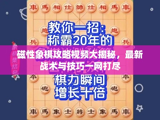 磁性象棋攻略視頻大揭秘，最新戰(zhàn)術(shù)與技巧一網(wǎng)打盡