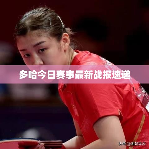 多哈今日賽事最新戰(zhàn)報(bào)速遞