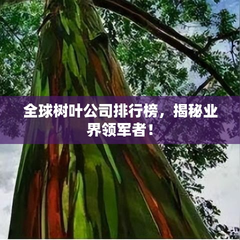 全球樹(shù)葉公司排行榜，揭秘業(yè)界領(lǐng)軍者！
