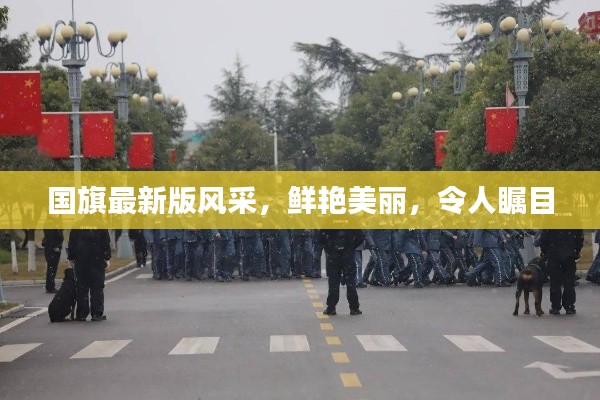 國旗最新版風(fēng)采，鮮艷美麗，令人矚目