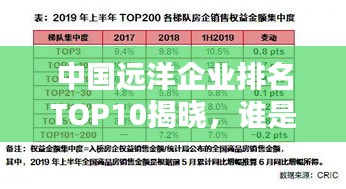 中國(guó)遠(yuǎn)洋企業(yè)排名TOP10揭曉，誰(shuí)是行業(yè)巨頭？