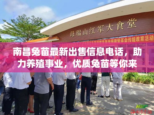 南昌兔苗最新出售信息電話，助力養(yǎng)殖事業(yè)，優(yōu)質(zhì)兔苗等你來選！