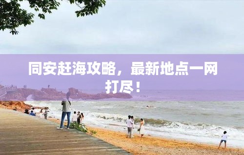 同安趕海攻略，最新地點一網(wǎng)打盡！
