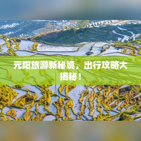元陽旅游新秘境，出行攻略大揭秘！