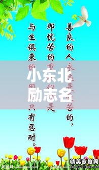 小東北勵(lì)志名言，激發(fā)無限潛能的短句