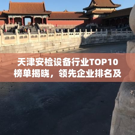 天津安檢設備行業(yè)TOP10榜單揭曉，領先企業(yè)排名及優(yōu)勢一網(wǎng)打盡！