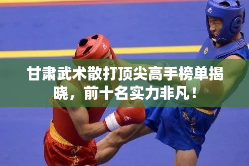 甘肅武術(shù)散打頂尖高手榜單揭曉，前十名實(shí)力非凡！