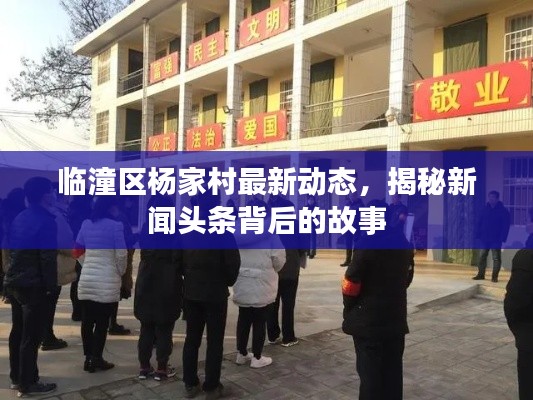 臨潼區(qū)楊家村最新動(dòng)態(tài)，揭秘新聞?lì)^條背后的故事