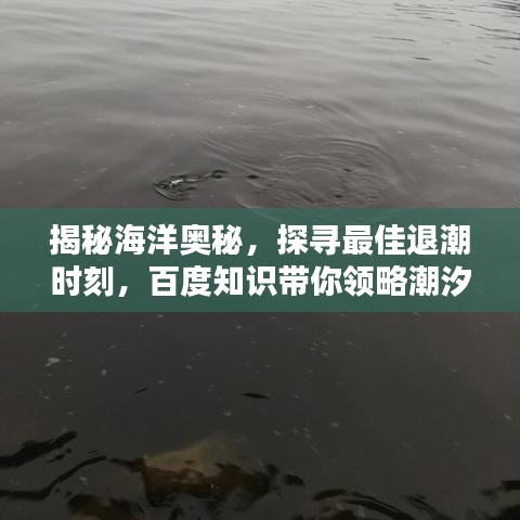 揭秘海洋奧秘，探尋最佳退潮時刻，百度知識帶你領(lǐng)略潮汐魅力