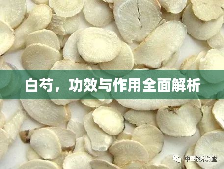 白芍，功效與作用全面解析