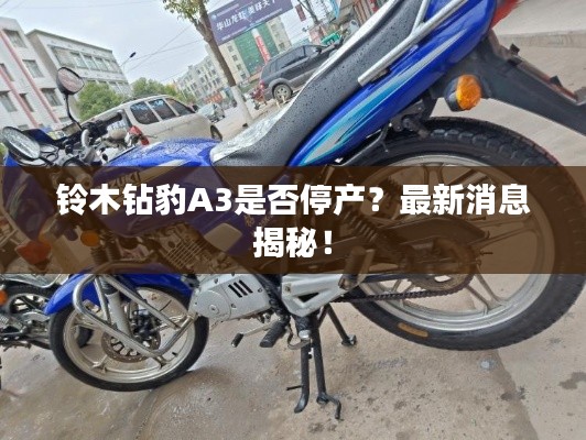 鈴木鉆豹A3是否停產(chǎn)？最新消息揭秘！