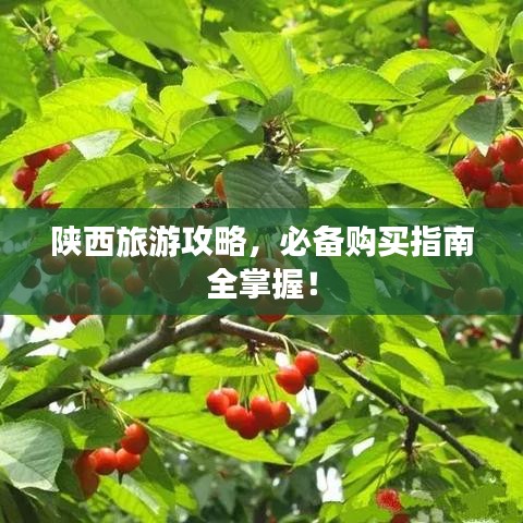 陜西旅游攻略，必備購買指南全掌握！