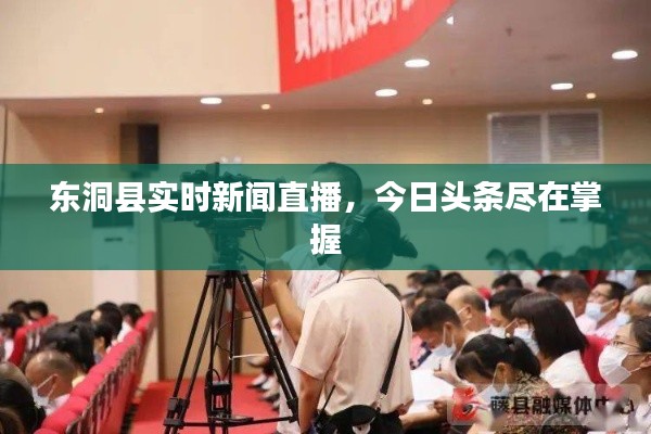 東洞縣實時新聞直播，今日頭條盡在掌握