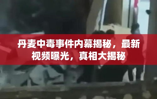 丹麥中毒事件內幕揭秘，最新視頻曝光，真相大揭秘