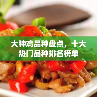 大種雞品種盤點(diǎn)，十大熱門品種排名榜單