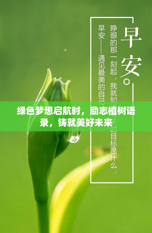 綠色夢想啟航時(shí)，勵(lì)志植樹語錄，鑄就美好未來