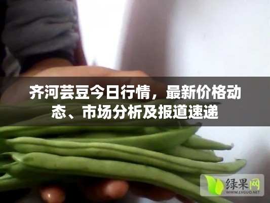 齊河蕓豆今日行情，最新價格動態(tài)、市場分析及報道速遞