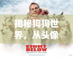 揭秘狗狗世界，從頭像圖片開(kāi)啟的奇妙探險(xiǎn)之旅