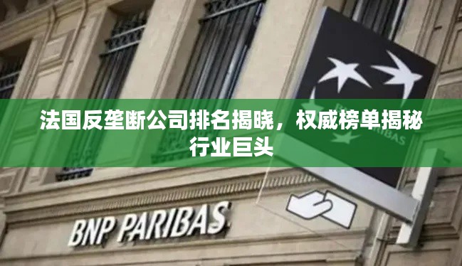 法國(guó)反壟斷公司排名揭曉，權(quán)威榜單揭秘行業(yè)巨頭