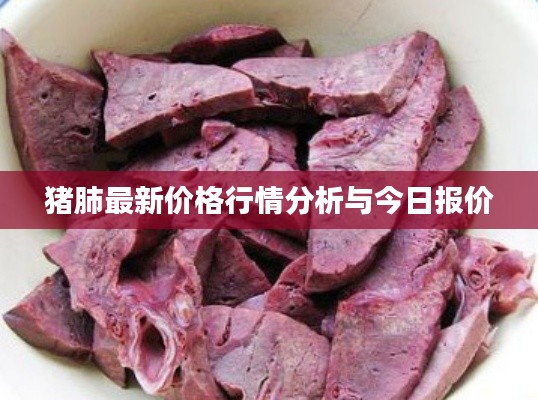 豬肺最新價格行情分析與今日報價