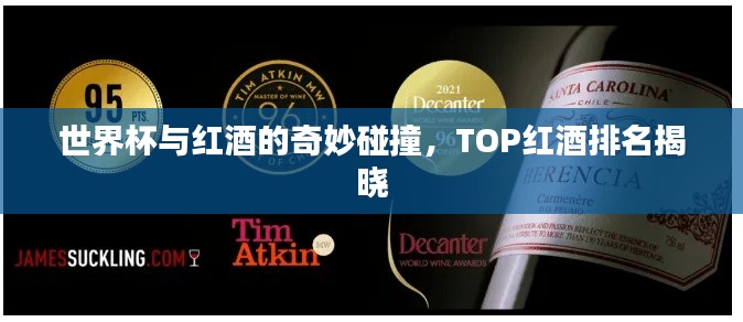 世界杯與紅酒的奇妙碰撞，TOP紅酒排名揭曉