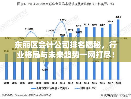 東麗區(qū)會計公司排名揭秘，行業(yè)格局與未來趨勢一網打盡！