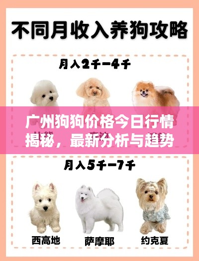 廣州狗狗價格今日行情揭秘，最新分析與趨勢預(yù)測