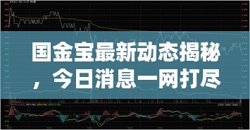 國金寶最新動態(tài)揭秘，今日消息一網(wǎng)打盡